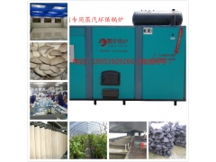 食用菌专用环保锅炉图2