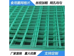 蘑菇网片A泮洋蘑菇网片A蘑菇网片厂家价格图1