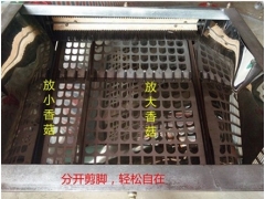 厂家直销正品香菇自动剪腿机 剪柄机 自动分离菇帽菇脚图3