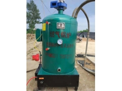 厂家供应燃气环保香菇灭菌锅炉图1