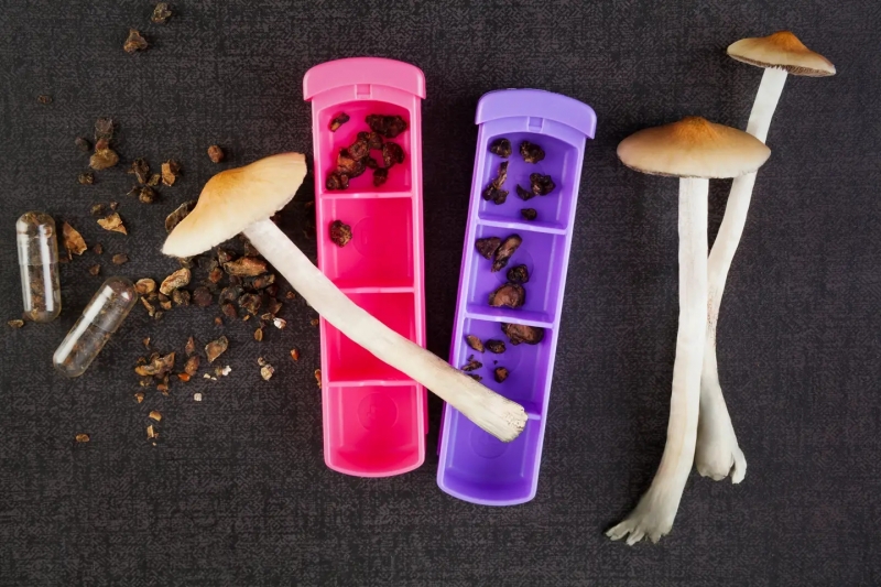 Psilocybin-for-the-Masses-Oregon-Considering-Legalizing-Mushrooms.webp
