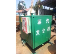 燃气蒸汽发生器 电加热蒸汽发生器价格图3