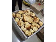 厂家批发东北顶级猴头菇图1