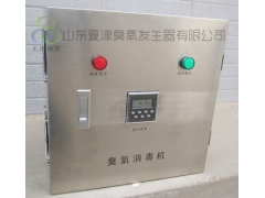 潍坊-泰安-济宁壁挂式臭氧消毒器臭氧发生器价格图2