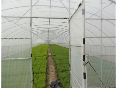 香菇大棚骨架_永宁香菇大棚骨架厂家图1