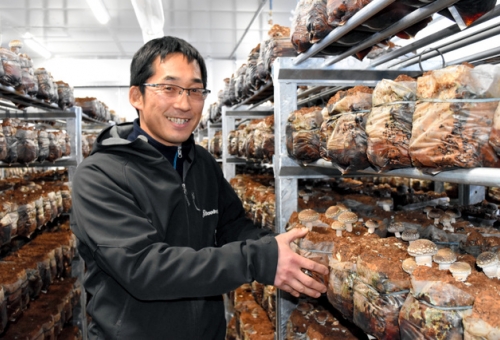 福島)「ひたむき椎茸」、原発事故乗り越え