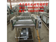 菌菇类清洗设备 气泡清洗流水线图2