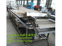 大型气泡清洗流水线 蔬菜清洗专用设备图1