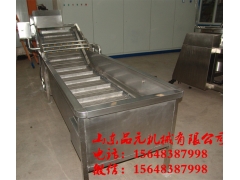 蔬菜清洗设备  果蔬清洗风干流水线图2