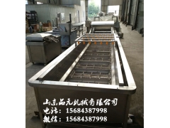 大型气泡清洗流水线 蔬菜清洗专用设备图2