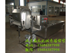 大型气泡清洗流水线  果蔬清洗专用设备图1