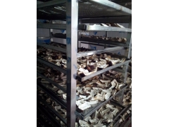 羊肚菌烘干加工图1