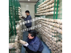 浸塑蘑菇养殖网片 蘑菇网格网架 食用菌网架 金针菇养殖架图2