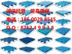 河北廊坊塑料托盘图2