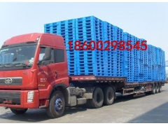 河北廊坊塑料托盘图3