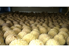 意斯空气能食用菌烘干机图2