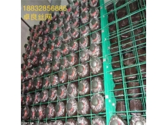 食用菌专用网架生产厂家图1