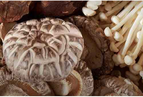 Eating Mushrooms a Few Times a Week Coul