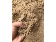 大量供应甘蔗渣图1