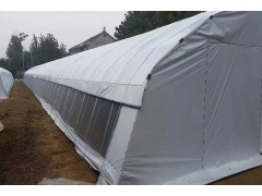 食用菌大棚建设厂家图1