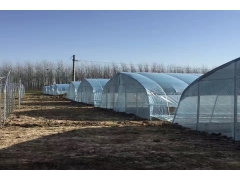 食用菌大棚建设厂家图2