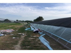 食用菌大棚建设厂家图3