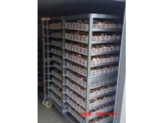 湖北香菇烘干|香菇烘干机|热泵烘干机|热泵烘干图3