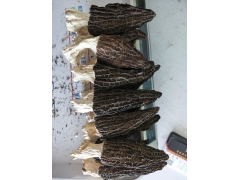 羊肚菌干品图1