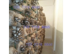 食用菌网格网架 大棚养殖蘑菇架图2