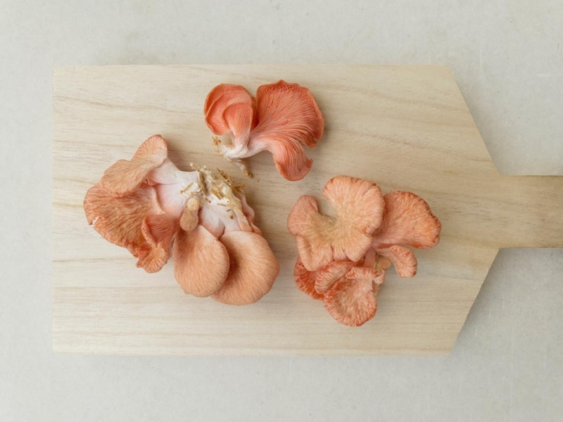chopping-board-with-oyster-mushrooms