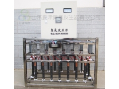 东营-滨州-威海空调机组内置式臭氧发生器图1