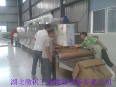 黄花菜微波灭菌机图1