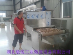 香菇微波烘干杀菌机图1