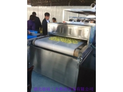 菊花微波杀青烘干机图1