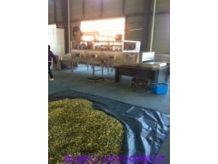 安徽微波烘干杀菌机图1