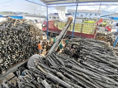 贵州地区长期稳定供应食用菌杂木木屑（硬阔杂木）图1