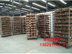 茶树菇烘干|茶树菇干燥|茶树菇烘干机|热泵烘干机图2