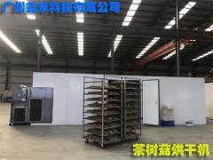 茶树菇烘干机厂家 茶树菇烘干机价格图1