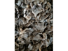 盐渍平菇（出口挑出）图1