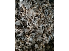 盐渍平菇（出口挑出）图2