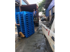 四川重庆塑料托盘,贵州塑料托盘图1