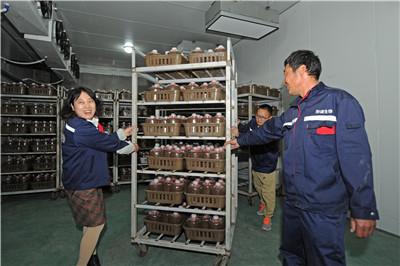 图片4