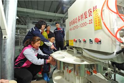 图片5