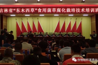 行业专项成果系列报道:“东木西草”食用菌草腐化栽培现场观摩暨大球盖菇栽培技术培训班于5月15日在辽源市东丰县顺利召开