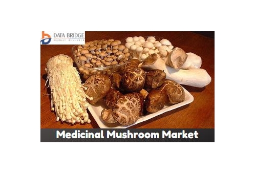Global Medicinal Mushroom Market Forecas