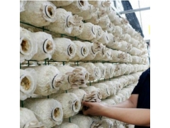 养菌架@湖南养菌架@养菌架厂家直销@批发价格图3