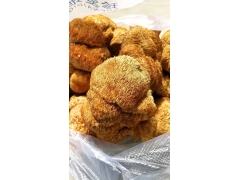 黑龙江海林猴头菇之乡 高品质猴头批发 质优价廉图2