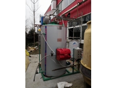 食用菌专用锅炉,蘑菇木耳养殖蒸菌袋燃气蒸汽发生器图1