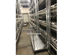 双孢菇车间电动升降采菇车图1