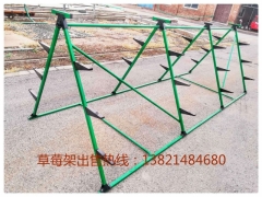 绿色无土栽培A字架价格图1